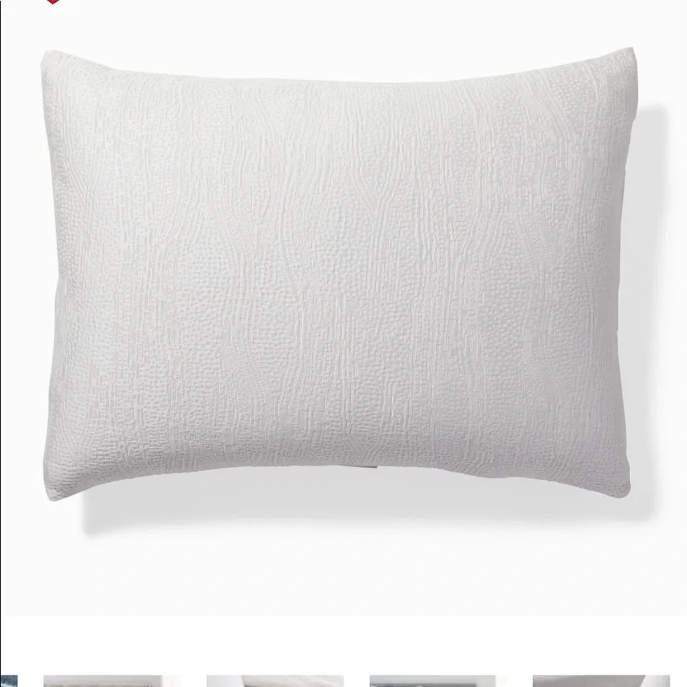 West Elm TENCEL™ & Cotton Matelasse Shams NWOT